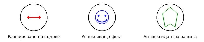 Инфографика: Глог Плюс – три ключови ползи: Разширяване на съдове, Успокояващ ефект, Антиоксидантна защита